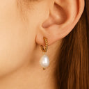 Twisted Golden Hook Earrings with Pearl Pendant