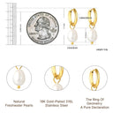 Golden Hook Earrings with Pearl Pendant